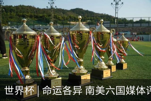 世界杯 | 命运各异 南美六国媒体评本队世界杯表现