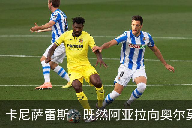 卡尼萨雷斯：既然阿亚拉向奥尔莫道歉了，我们就应该原谅他的挥拳